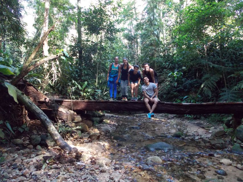 Bico do Papagaio Guided Hiking Tour in the Tijuca Forest - Is the $59 price good value?