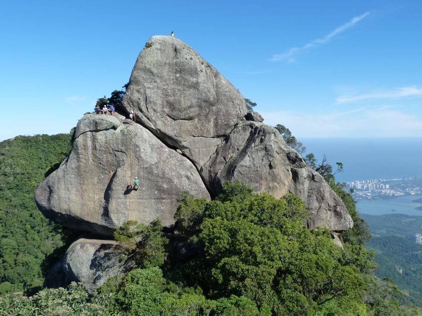 Bico do Papagaio Guided Hiking Tour in the Tijuca Forest - Walking through Tijuca Forest’s Sector A