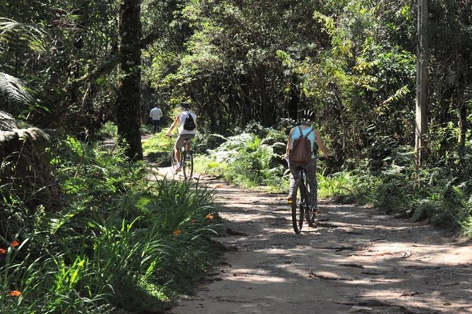 Bicycle rental in Horto Florestal - Campos do Jordão - Key points before you book