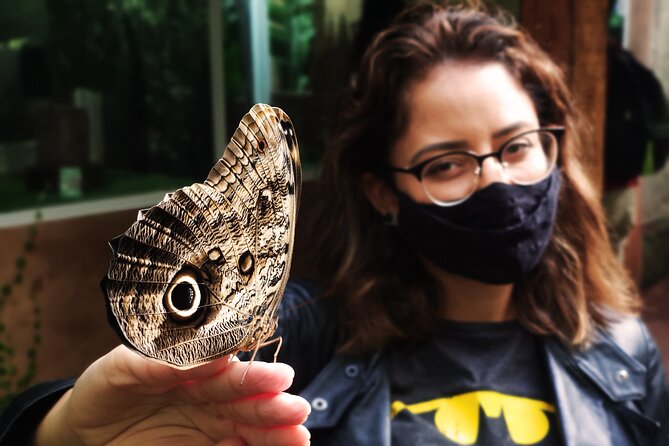 Bird Park General Admission Ticket and Tour - Key points to know before booking