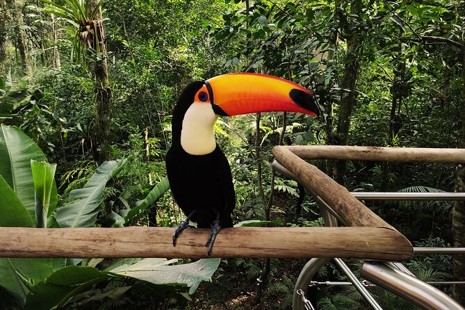 Bird Park General Admission Ticket and Tour - What the four-hour outing actually includes