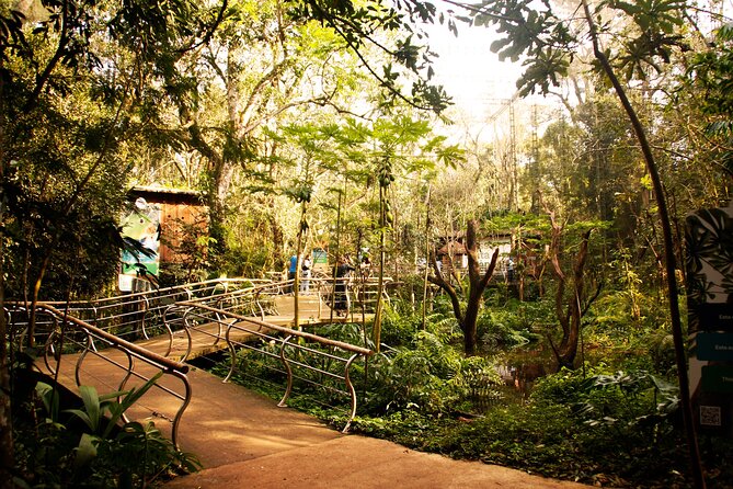 Bird Park General Admission Ticket and Tour - Hotel pickup from Brazil or Argentina