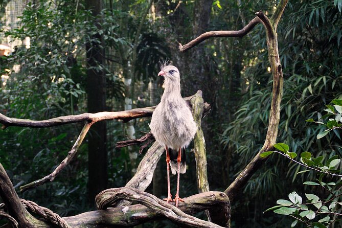 Bird Park General Admission Ticket and Tour - Is $76 a fair price?