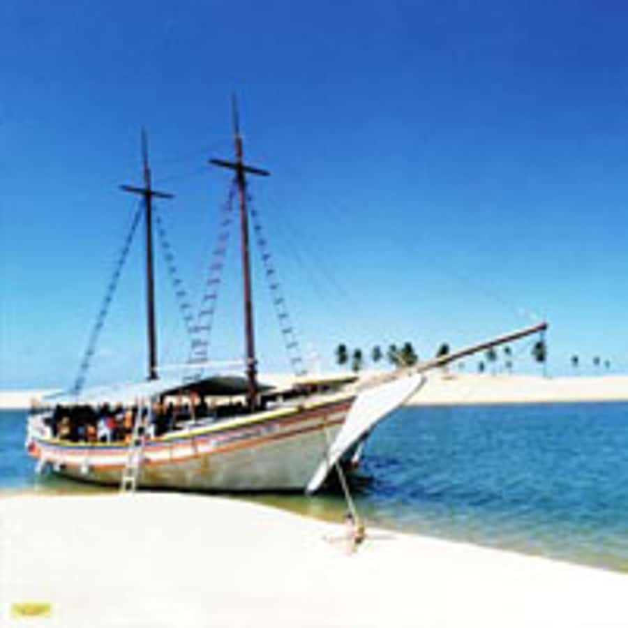 Boat ride: São Francisco River, the largest in Brazil - Key points to know before booking
