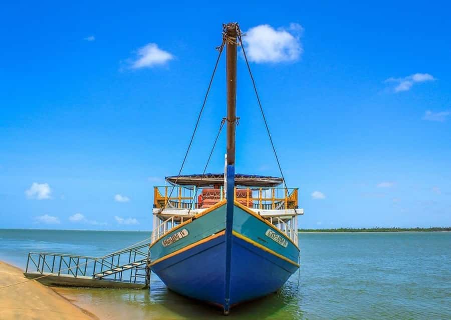 Boat ride: São Francisco River, the largest in Brazil - Watching the dunes and migratory birds