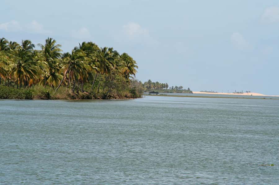Boat ride: São Francisco River, the largest in Brazil - What the $268 price delivers