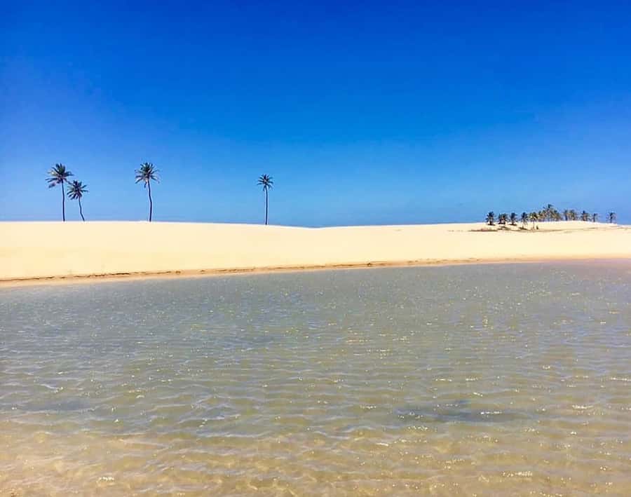 Boat ride: São Francisco River, the largest in Brazil - Boarding beside the Old Chino