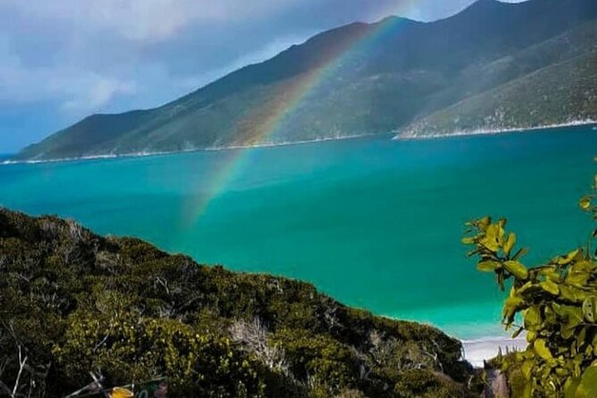 Boat Tour in Arraial do Cabo - Forno Beach, the first 30-minute taste of the coast