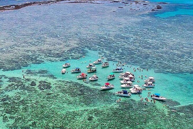 Boat Tour in Maragogi - Key points to know before booking