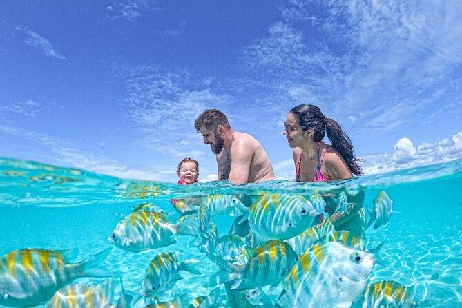 Boat Tour in Maragogi - What the price includes in practical terms