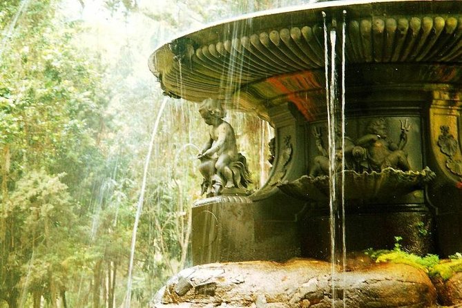 Botanic Garden and Parque Lage Guided Tour & Transfer - Meeting up from Copacabana or the port