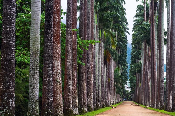 Botanical Garden, a Place of Science, Culture, and Leasure - What the garden visit feels like in practice
