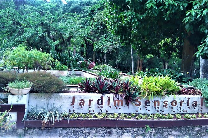 Botanical Garden, a Place of Science, Culture, and Leasure - Who will enjoy this Rio experience most?