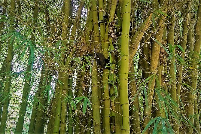 Botanical Garden, a Place of Science, Culture, and Leasure - Practical advice for a smoother morning