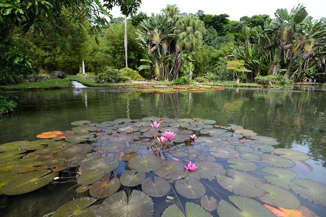 Botanical Garden and Parque Lage Private Tour with a Photographer - What Renata adds to the experience