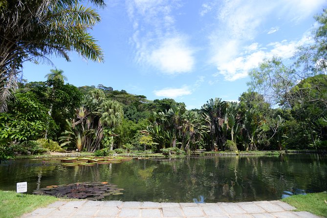 Botanical Garden and Parque Lage Private Tour with a Photographer - Who should book this private park tour?
