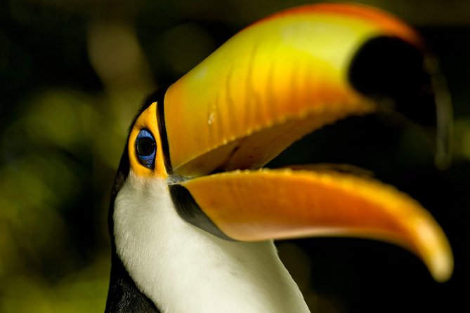 Brazil Family Adventure - Private Multi Day Tour - Key Points To Know Before You Book