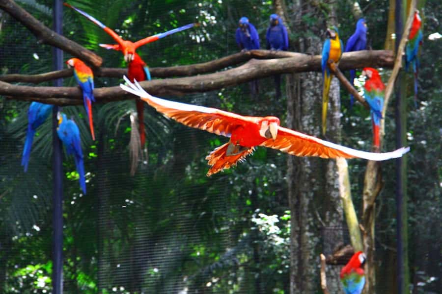 Brazilian Falls, Bird Park and Itaipu Dam - Itaipu Dam: two hours beside a giant power project