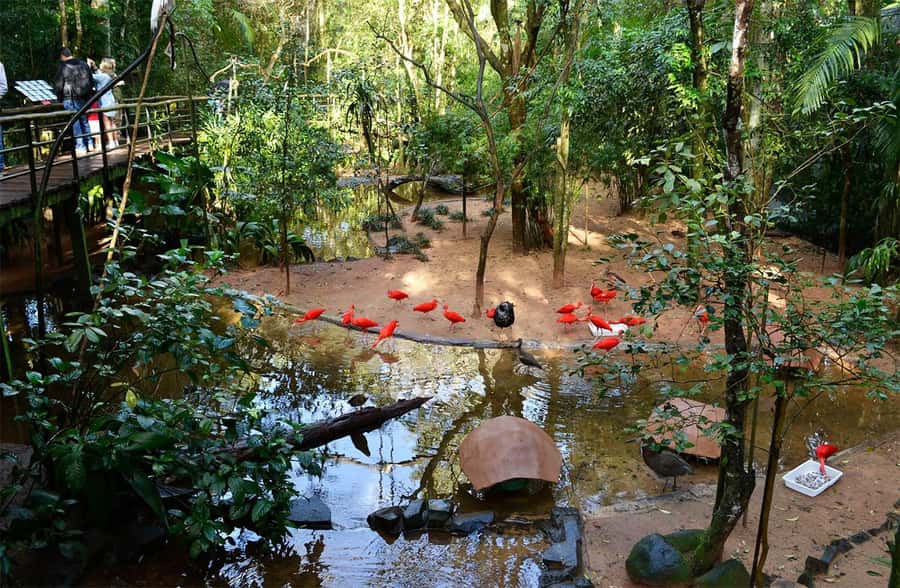 Brazilian Falls, Bird Park and Itaipu Dam - How much help does the guide provide?