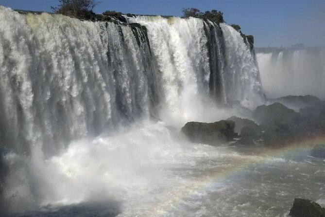 Brazilian Falls, Bird Park and Itaipu Dam from Foz do Iguaçu - Parque das Aves, more than a quick zoo stop