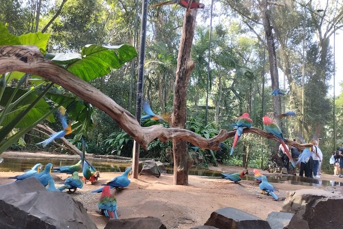 Brazilian Falls, Parque das Aves and Itaipu, hotels in Brazil - Parque das Aves, a close look at birdlife