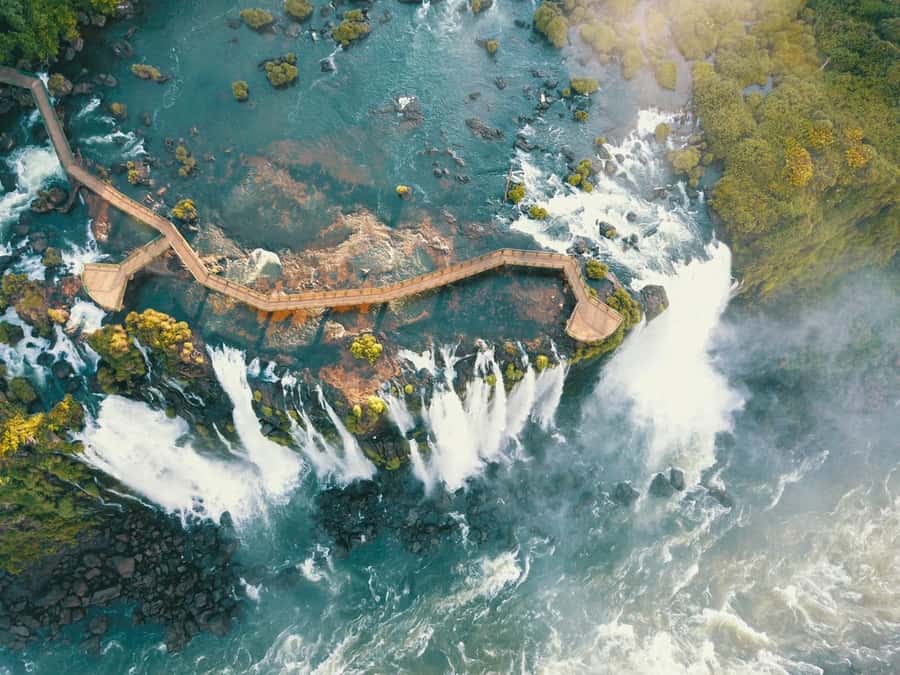 Brazilian Iguassu Falls,Bird park Boat Safari all tickets - The value of private transport and a personal guide