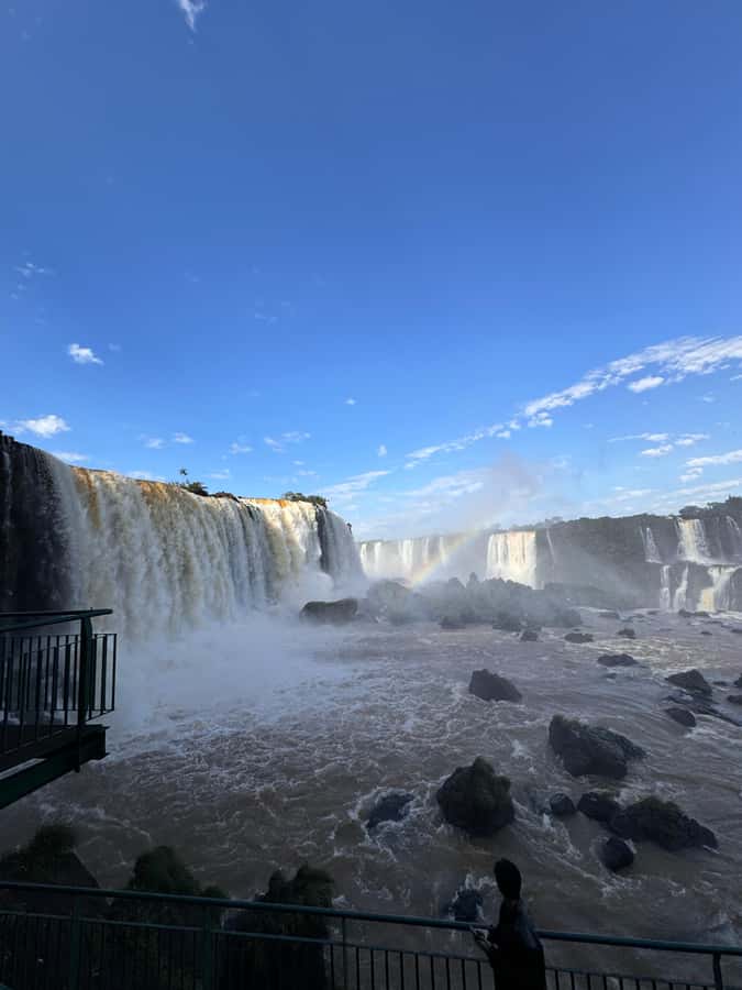 Brazilian Iguassu Falls,Bird park Boat Safari all tickets - Parque das Aves: a close look at Brazilian birdlife