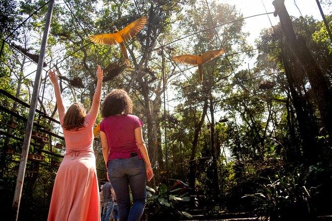 Brazilian Side of the Cataratas and Parque Das Aves with tickets - The guide’s role in keeping the day useful