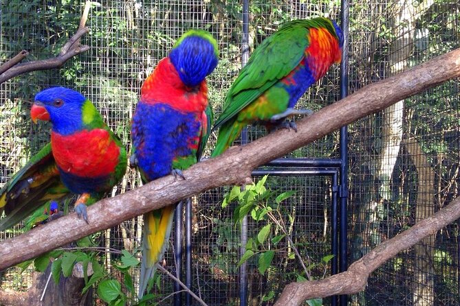 Brazilian Side of the Cataratas and Parque Das Aves with tickets - Entering Iguaçu National Park for the Brazilian falls