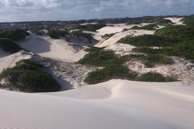 Buggy Tour along the North Coast (Genipabu) - Who will enjoy this most?