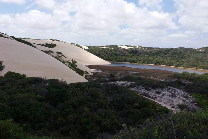 Buggy Tour along the North Coast (Genipabu) - Pitangui Lagoon brings a slower pause