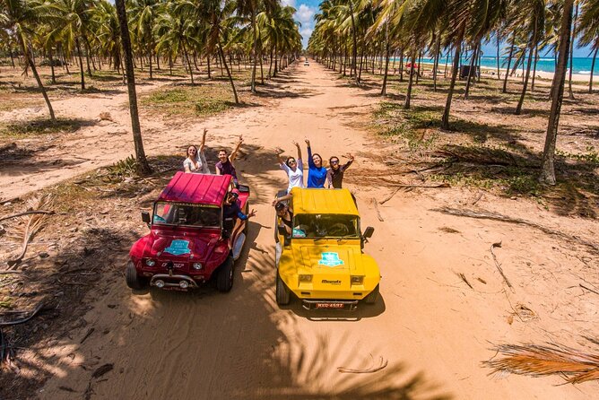 Buggy Tour Ponta to Ponta Port DE Galinhas - Key points to know before booking