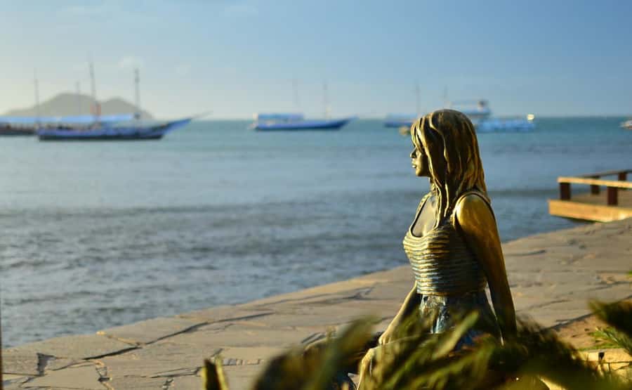 Búzios: City Tour & Beach Hopping with Lunch - Why This Tour Works for a First Day in Búzios