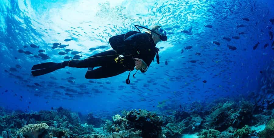 Buzios - DIVING EXPERIENCE - Key points to know before booking