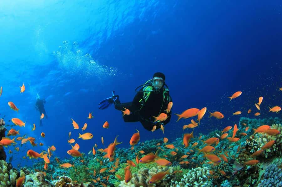 Buzios - DIVING EXPERIENCE - Reaching the right beach entrance