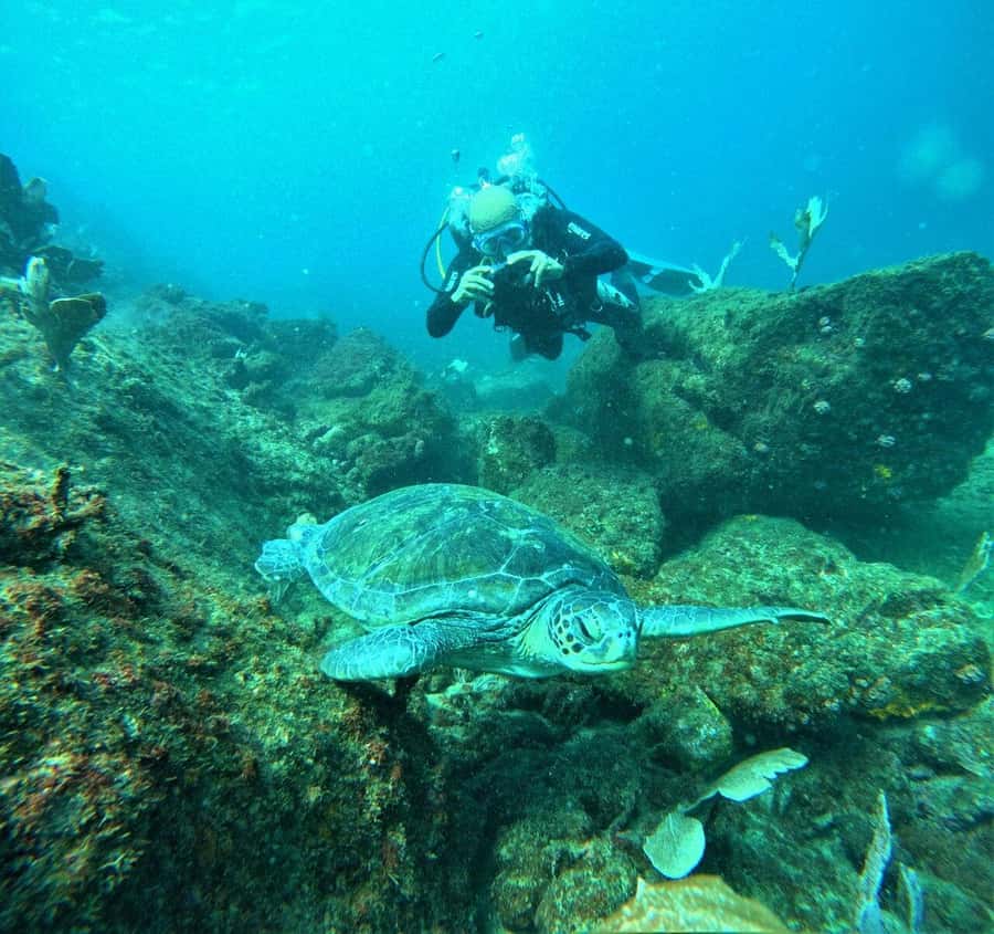 Buzios - DIVING EXPERIENCE - Exploring the reefs around João Fernandinho