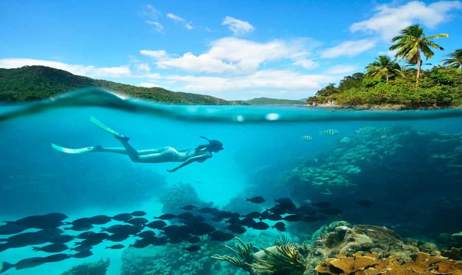 Buzios - DIVING EXPERIENCE - What happens during the 90-minute class