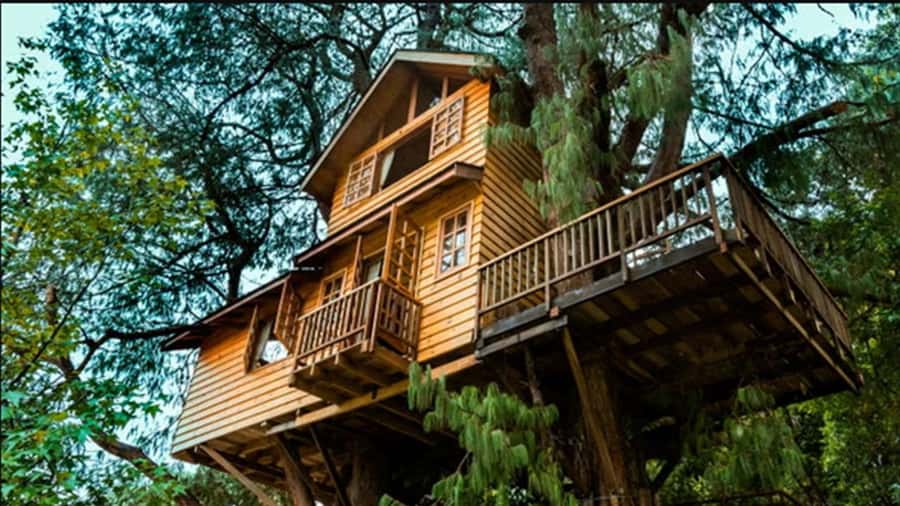 Campos do Jordão: Private 8 Hour Tour - The real question: how much time will you spend driving?