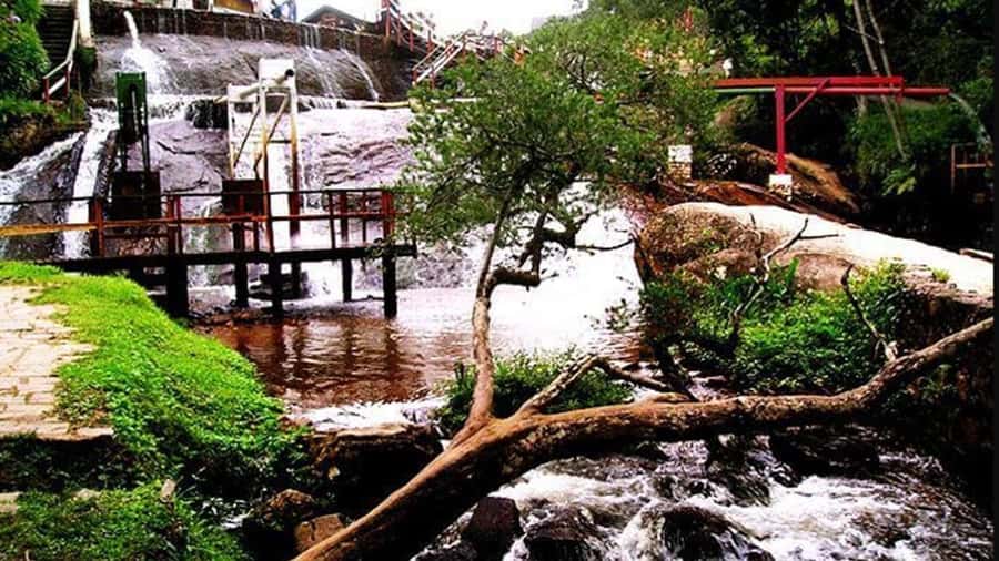 Campos do Jordão: Private 8 Hour Tour - Romantik Dalen and its playful love-story theme