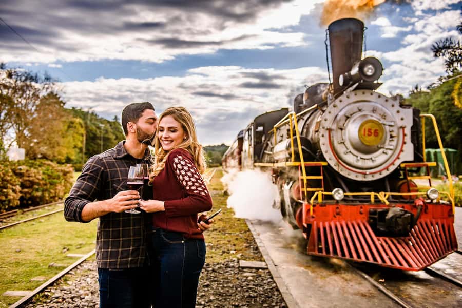 Canela/Gramado: South Wineries, Wine Train, & Italian Park - Key points to know before booking