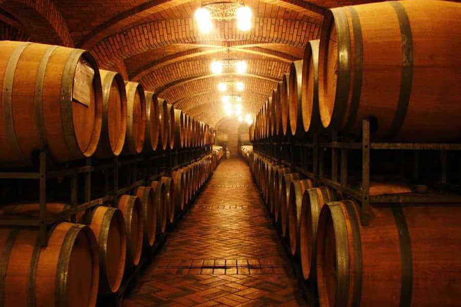 Canela/Gramado: South Wineries, Wine Train, & Italian Park - The Maria Fumaça train through three towns