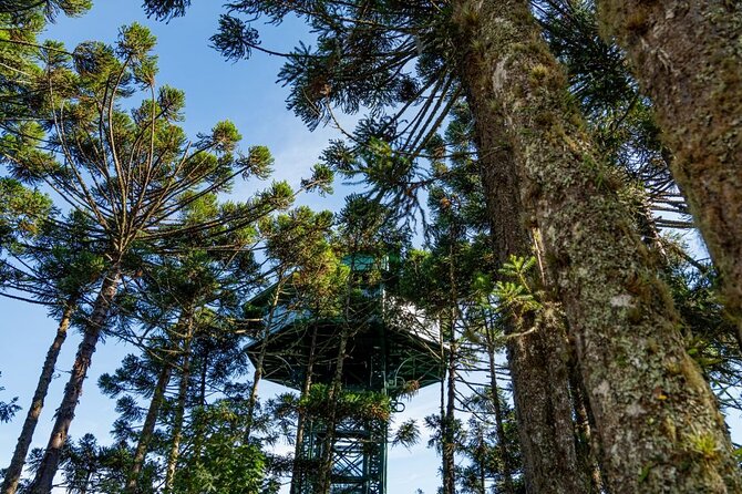 Caracol Park ticket - Xaxins Forest adds a plant-focused walk