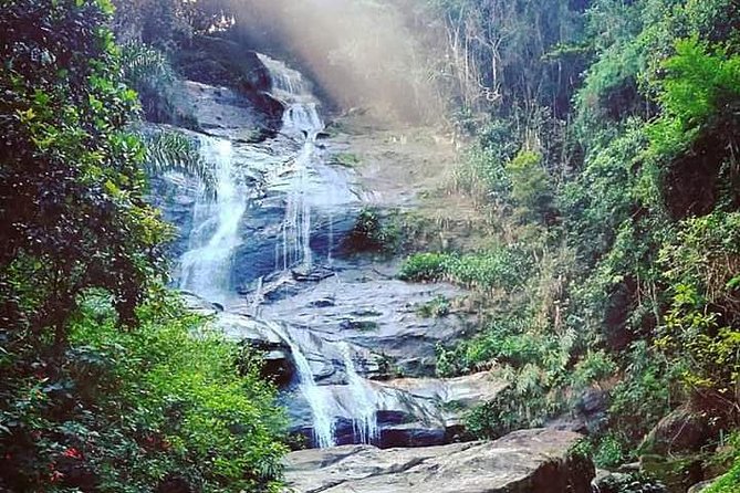 Christ and Tijuca Forest Tour - by Alan Denis - Driving through Tijuca National Park