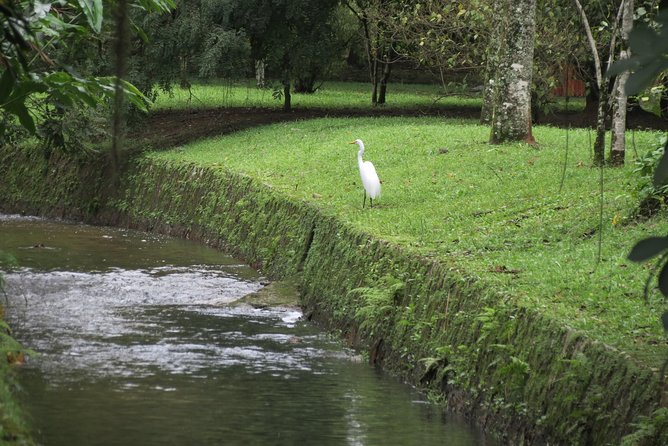 Christ, Botanic Garden & Waterfall Shower. 6 Hours Tour. - Price, extra fees, and who gets good value