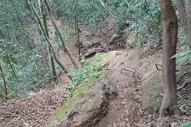 Christ the Redeemer Adventure - Who should book this experience