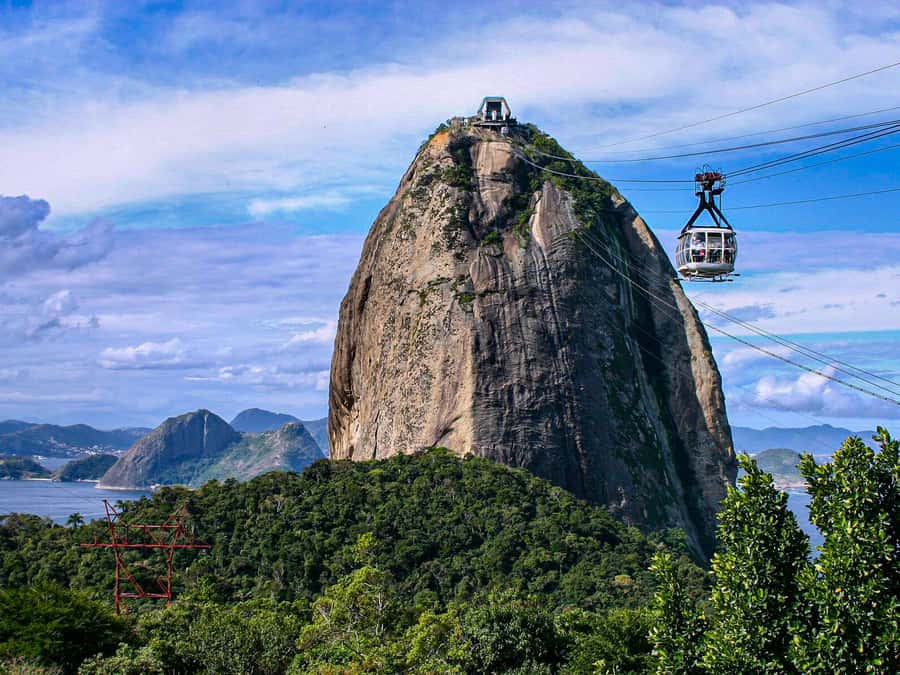 Christ the Redeemer and Escadaria Selarón Half-Day Tour - Key points to know before booking