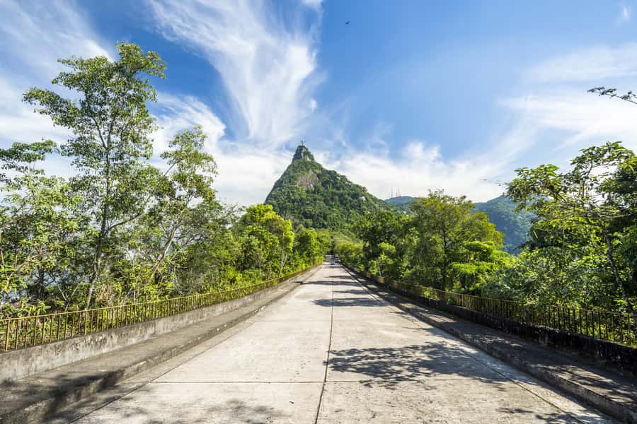 Christ the Redeemer and Escadaria Selarón Half-Day Tour - Who should book this Rio tour?