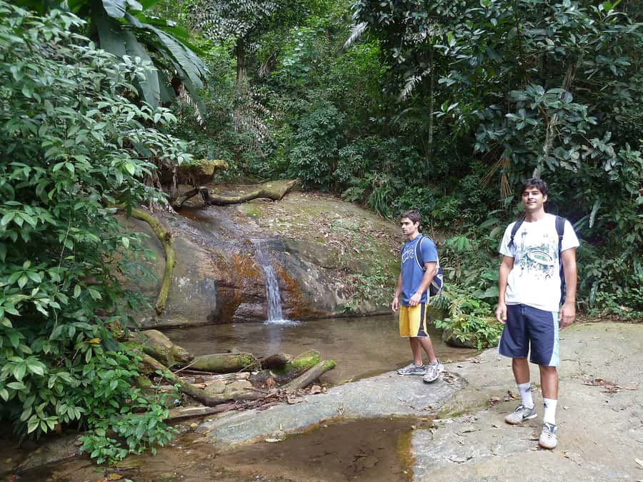 Christ the Redeemer through Lage Park 6-Hour Hiking Tour - Key Points Before You Book