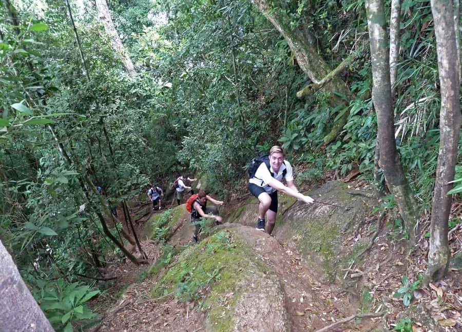 Christ the Redeemer through Lage Park 6-Hour Hiking Tour - Two and a Half Hours Up Corcovado