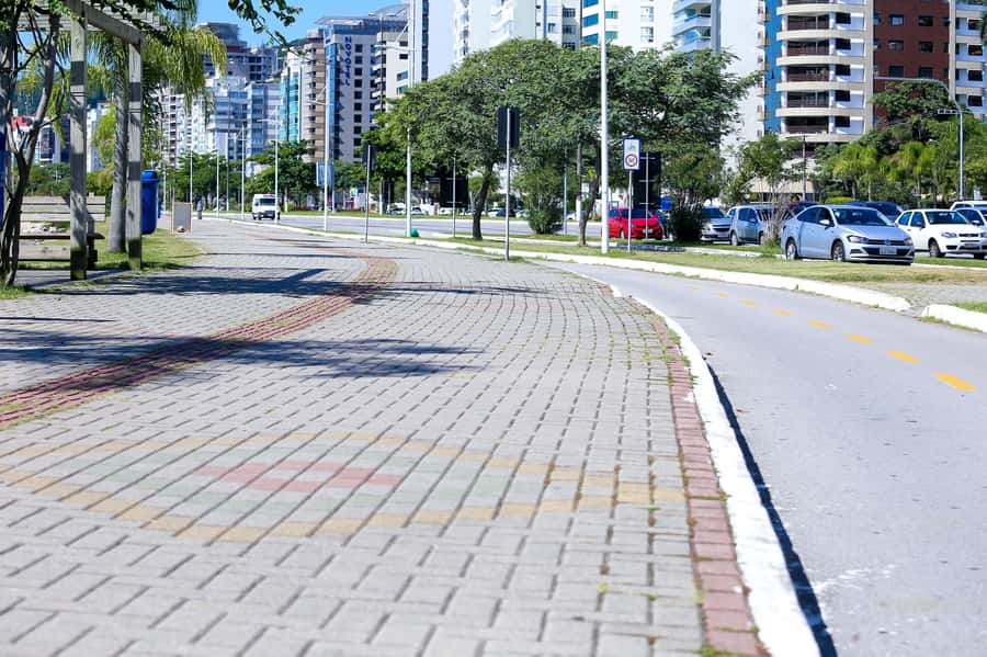 City Tour Florianópolis - The Tamar Project and sea turtle conservation